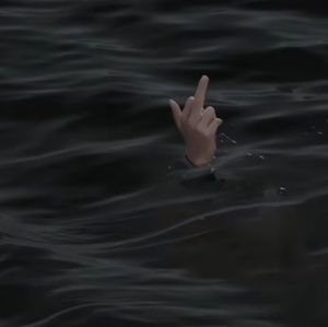 Meet your Posher, Ava